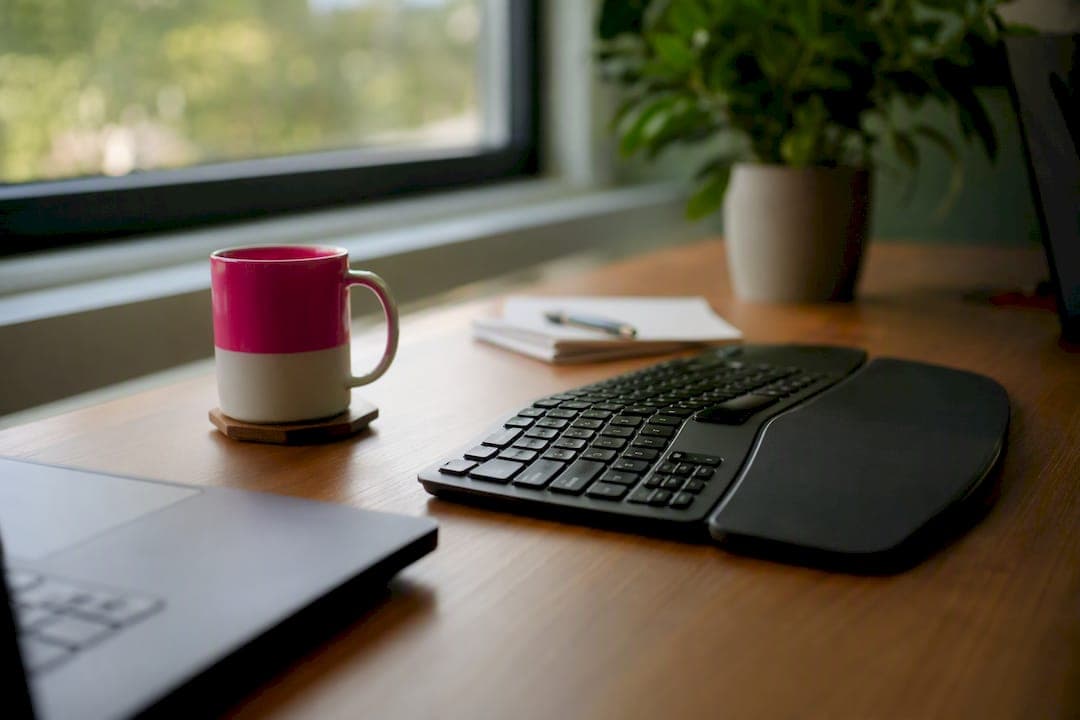 Outsourcing Software Development: When and How to Do It Right